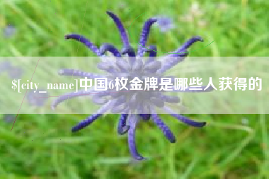 桂阳中国6枚金牌是哪些人获得的