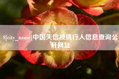 桂阳中国失信被执行人信息查询公开网址