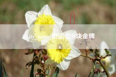 桂阳奥运会39块金牌