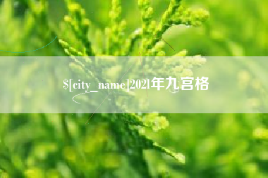 桂阳202l年九宫格