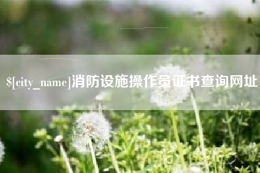 桂阳消防设施操作员证书查询网址