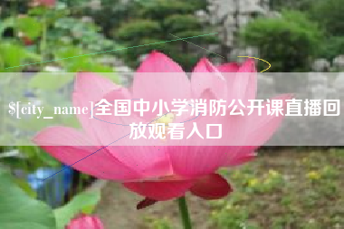 桂阳全国中小学消防公开课直播回放观看入口