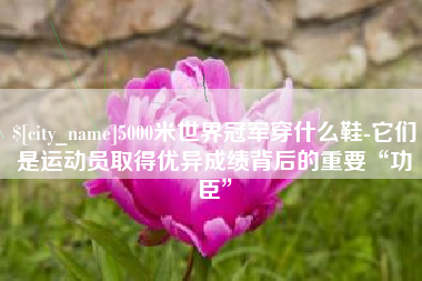 桂阳5000米世界冠军穿什么鞋-它们是运动员取得优异成绩背后的重要“功臣”