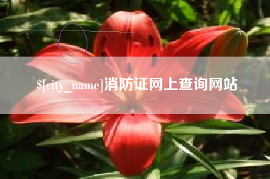桂阳消防证网上查询网站
