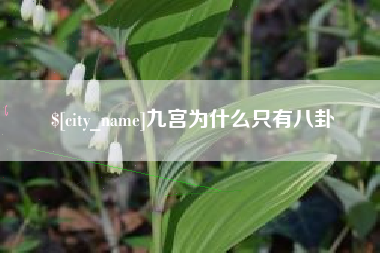 桂阳九宫为什么只有八卦