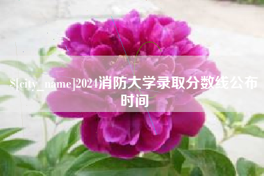 桂阳2024消防大学录取分数线公布时间
