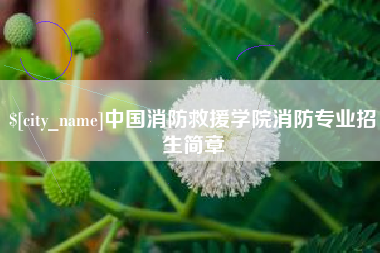 桂阳中国消防救援学院消防专业招生简章
