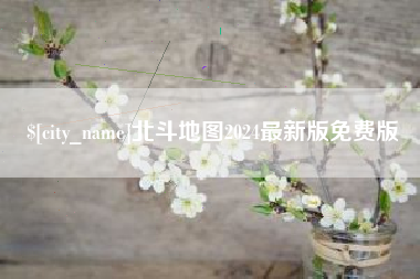 桂阳北斗地图2024最新版免费版