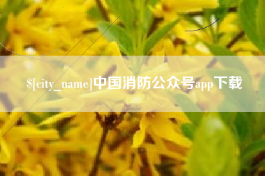 桂阳中国消防公众号app下载
