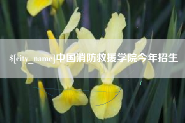 桂阳中国消防救援学院今年招生