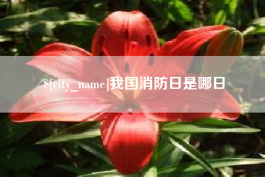 桂阳我国消防日是哪日