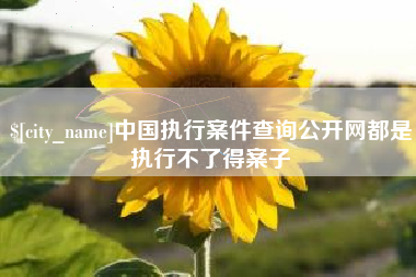 桂阳中国执行案件查询公开网都是执行不了得案子