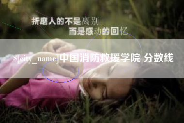 桂阳中国消防救援学院 分数线