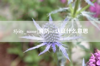 桂阳消防ccc认证什么意思