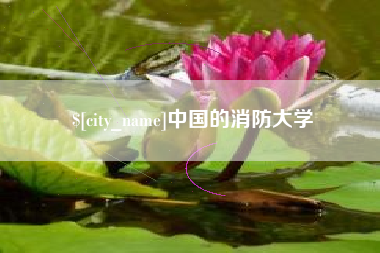 桂阳中国的消防大学