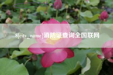 桂阳消防证查询全国联网