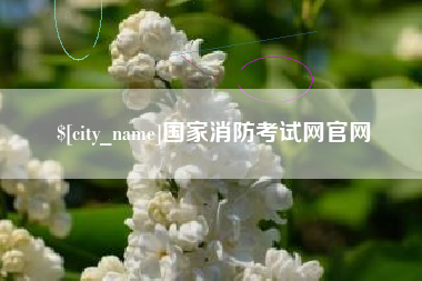 桂阳国家消防考试网官网