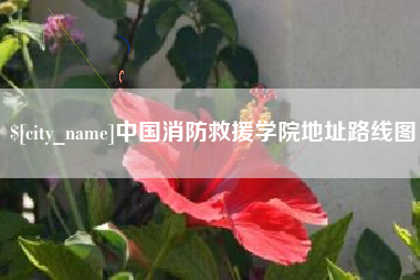 桂阳中国消防救援学院地址路线图