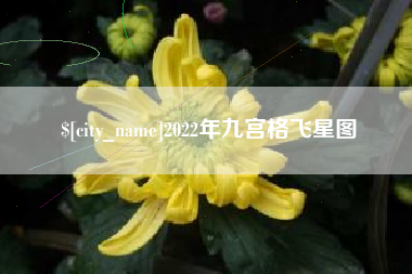 桂阳2022年九宫格飞星图