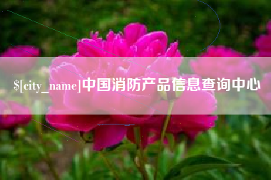 桂阳中国消防产品信息查询中心