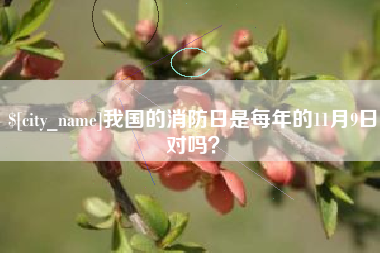桂阳我国的消防日是每年的11月9日对吗？