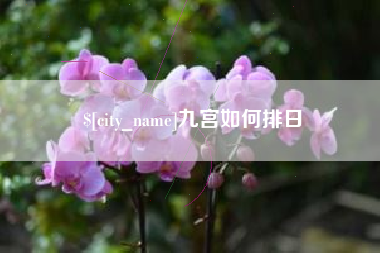桂阳九宫如何排日