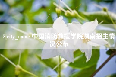 桂阳中国消防救援学院湖南招生情况公布