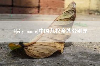 桂阳中国九枚金牌分别是