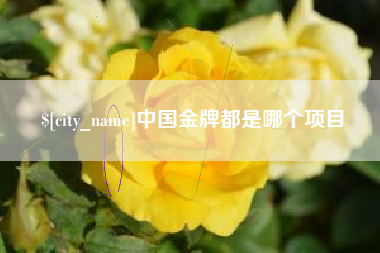 桂阳中国金牌都是哪个项目