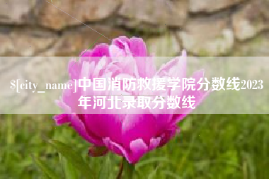 桂阳中国消防救援学院分数线2023年河北录取分数线