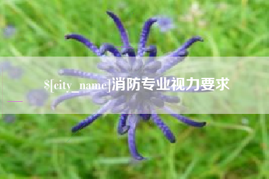 桂阳消防专业视力要求