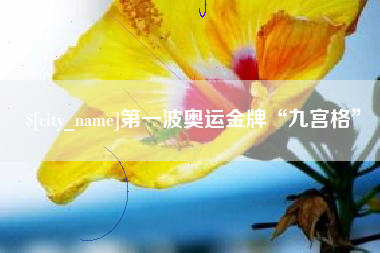 桂阳第一波奥运金牌“九宫格”
