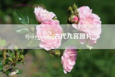 桂阳古代九宫图片