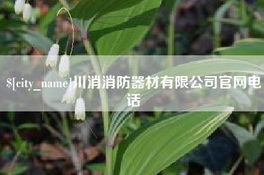 桂阳川消消防器材有限公司官网电话