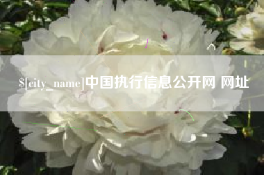 桂阳中国执行信息公开网 网址