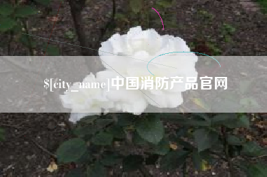 桂阳中国消防产品官网