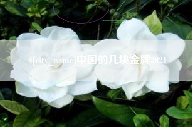 桂阳中国的几块金牌2021