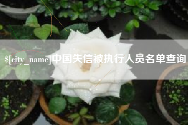 桂阳中国失信被执行人员名单查询