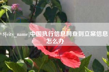 桂阳中国执行信息网查到立案信息怎么办