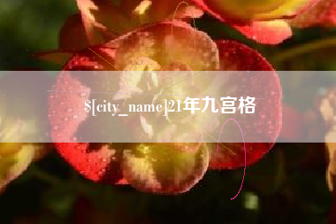 桂阳21年九宫格