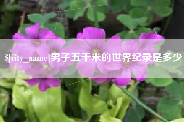 桂阳男子五千米的世界纪录是多少