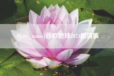 桂阳谷歌地球2024超清版