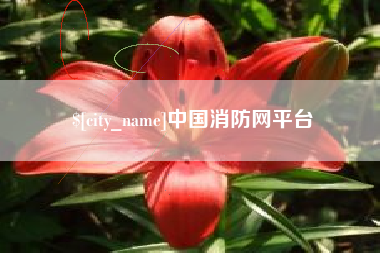 桂阳中国消防网平台