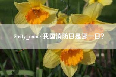 桂阳我国消防日是哪一日？