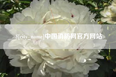 桂阳中国消防网官方网站