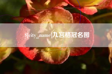 桂阳九宫格冠名图