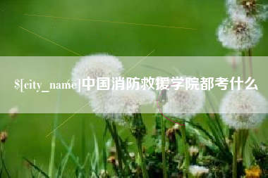 桂阳中国消防救援学院都考什么