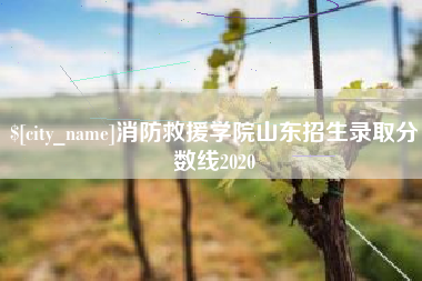 桂阳消防救援学院山东招生录取分数线2020