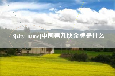 桂阳中国第九块金牌是什么