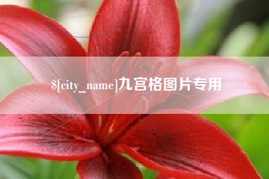 桂阳九宫格图片专用